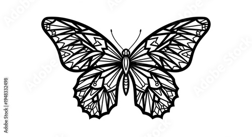 Intricate Butterfly Illustration with Detailed Wing Patterns.
