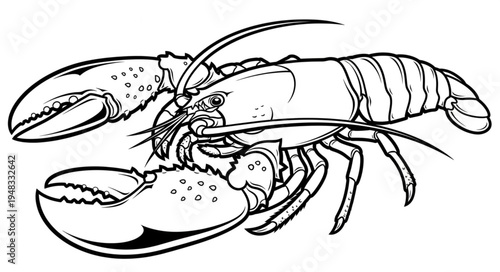 Detailed Lobster Line Art Illustration for Coloring and Design Projects.