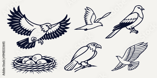 a collection of six different falcon silhouettes and a nest Vector