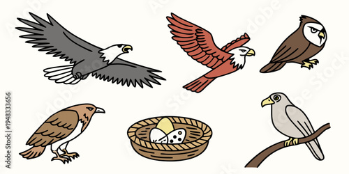a group of hawks and an eagle with a nest Vector