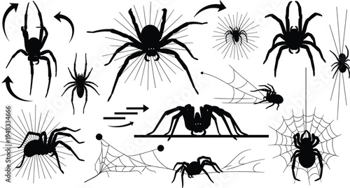 Spider Silhouette Motion Set with Crawling Arachnids, Web Elements and Direction Arrows for Halloween Horror Animation and Creature Movement Illustration