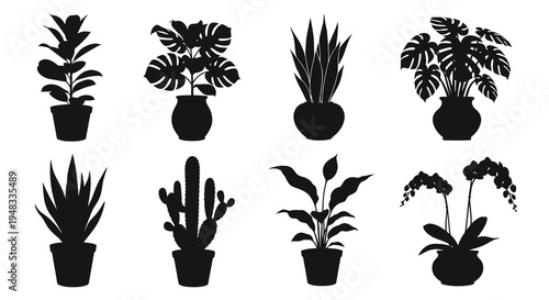 Set of Potted House Plants Silhouette Glyphs - Gardening, Home Decor  Nature Industry Icons