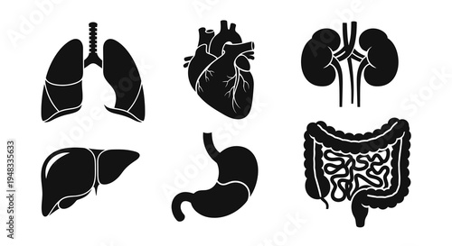 Medical Organs Icons Set: Lungs, Heart, Kidneys, Liver, Stomach, Intestines - Black Glyph