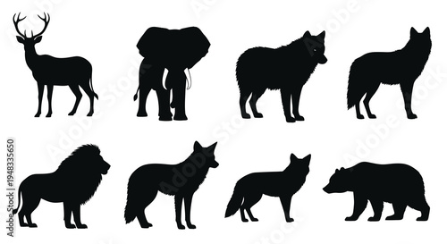 Wild Animal Silhouette Vector Set: Deer, Elephant, Wolf, Lion, Fox, Bear Illustrations