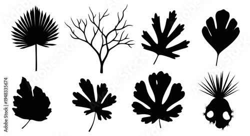 Nature Botany Vector Silhouettes: Assorted Leaves, Palm, Ginkgo, Tree Branches Glyph Set