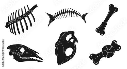 Black  White Silhouette Icons of Animal Skeletons and Bones, Vector Art