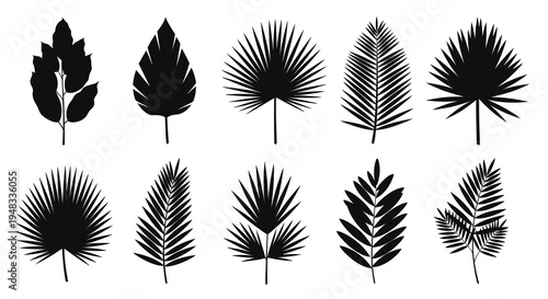 Black Silhouette Tropical Palm Leaves Set Vector Art