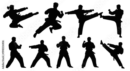 Silhouette of Karate Fighters Performing Kicks in Dynamic Poses