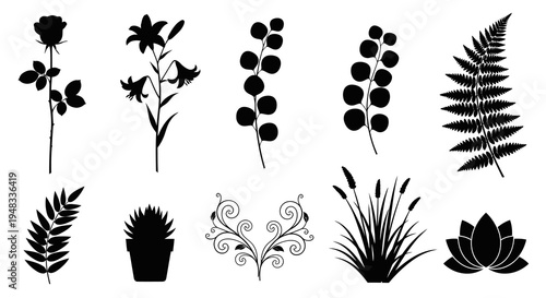 Black and white silhouette collection of diverse plants and flowers