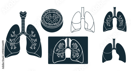 Human Lungs Medical Icons Set Vector