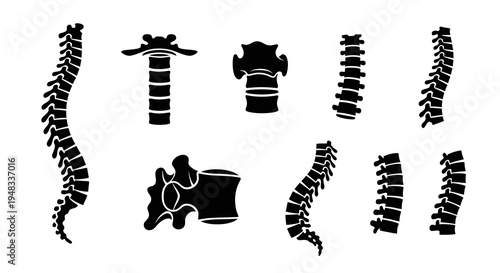 Black and White Spine Icon Set - Medical  Anatomy Vector Art