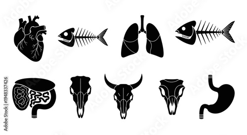 Black  White Anatomical Icons: Heart, Lungs, Fish Skeleton, Skulls, Stomach, Intestines