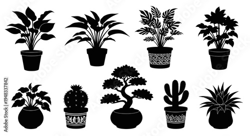 Black and white silhouette potted plants, various houseplants, vector illustration