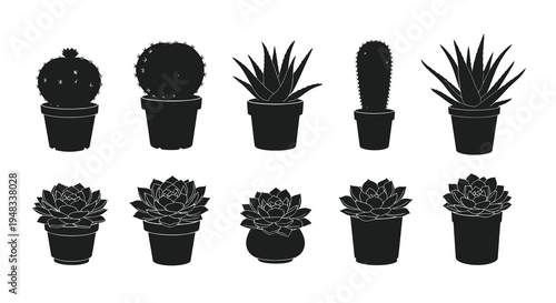 Black  White Silhouette Vector Icons of Various Potted Cacti and Succulents