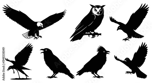 Black Silhouette Birds Collection - Eagle, Owl, Crows Flying and Perched