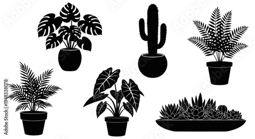Black and White Silhouette Set of Potted Houseplants and Cacti