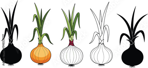 Onion vegetable illustration set, red white and yellow onion bulbs with green leaves, botanical food ingredient vector, farm fresh produce clipart