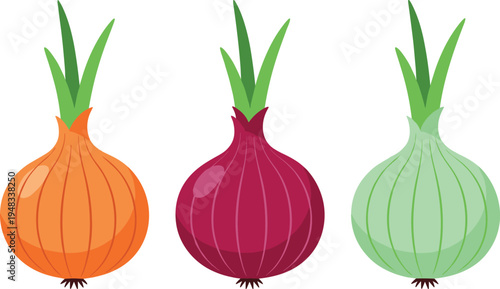 Onion vegetable vector set, red white and yellow onion bulbs with green leaves, fresh cooking ingredient illustration isolated on white