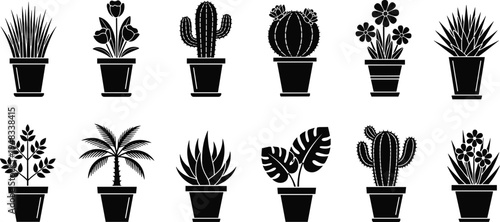 potted plant silhouette collection set, cactus succulent tropical houseplants icons, indoor gardening decoration elements, botanical black vector illustration isolated design pack