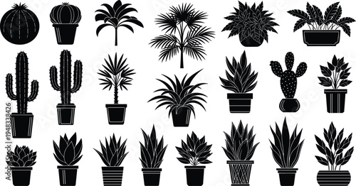 Potted plant silhouette collection, cactus succulent and tropical houseplants vector set, indoor botanical decor icons, black plant clipart illustration bundle