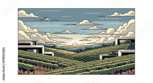 Rolling vineyards under a sky with dramatic clouds and a setting sun