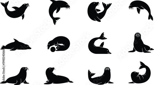 Black silhouette illustrations of twelve seals in various poses, symbolizing marine life, wildlife, ocean animals, and aquatic behavior for design, education, and creative projects.