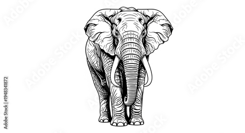 Detailed Elephant Illustration - A Majestic Wildlife Portrait.