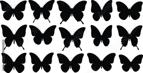 Collection of black butterfly silhouettes on white background
