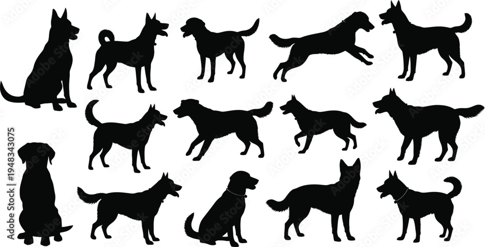 Obraz premium Collection of various dog breeds in different poses