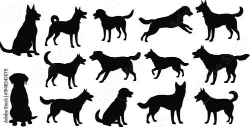 Collection of various dog breeds in different poses