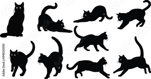 Collection of nine black cat silhouettes in various poses