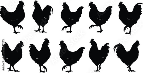 Eight black chicken silhouettes on white background