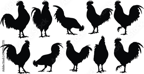 Collection of rooster silhouettes in various poses