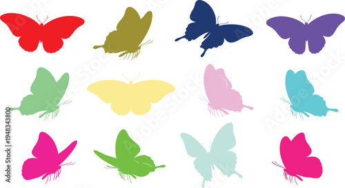 Colorful butterfly silhouettes in various shades and hues