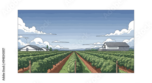 Vast green vineyard with two farm buildings under a cloudy blue sky