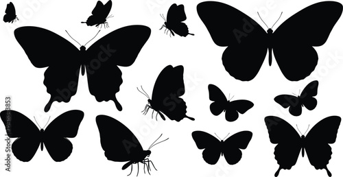 Collection of black butterfly silhouettes on white background