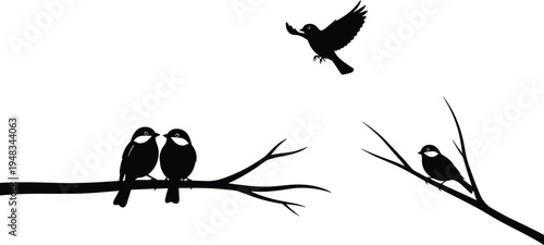 Black and White Tree Silhouette Vector Set Featuring Pine Deciduous Coniferous Spruce Forest Oak and Various Nature Plant Botanical Elements