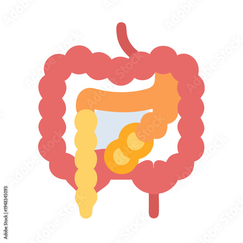 Human intestinal system in colorful flat design illustration