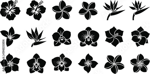 Black and white floral flowers tropical
