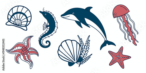 a group of sea creatures including a dolphin and a starfish Vector