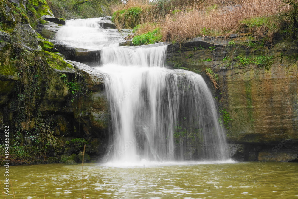 Obraz premium Silky waterfall in lush forest with mossy rocks and flowing stream, long exposure nature landscape