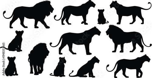 Set of African Lion Silhouettes Featuring Majestic Males with Manes Female Lionesses and Cute Cubs Isolated on White Background for Wildlife Safari Design Projects