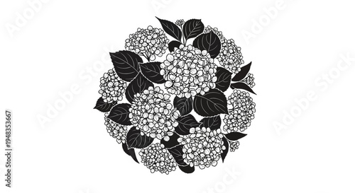 black and white lace