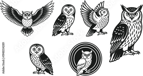 Set of Detailed Owl Illustrations Featuring Various Species in Flying and Perched Poses Isolated on White Background for Nocturnal Wildlife and Wisdom Design Projects
