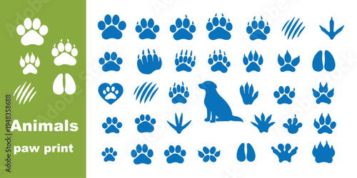 Animal Paw Prints Set - Dog and Bird Tracks, Black Animal Footprints, Paw Silhouettes, Wildlife Footprint Illustrations, Vector Animal Tracks