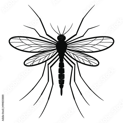 dragonfly on a white background