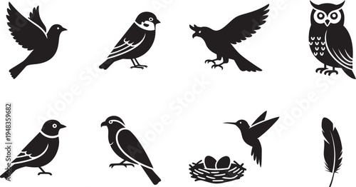 Collection of various bird silhouettes