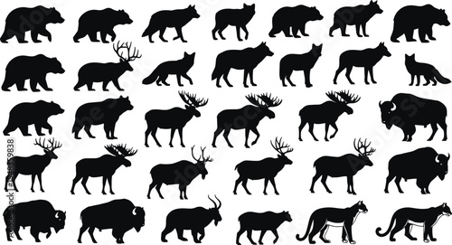 Black North American wildlife silhouette set with bears wolves moose elks bison and cougars in various walking poses isolated on white background for vector design