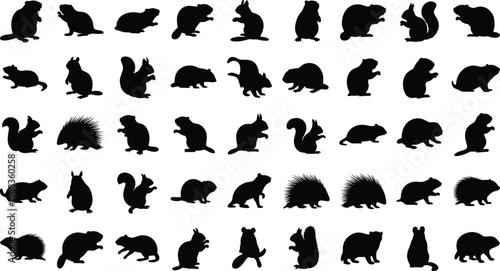 Black Vector Silhouettes of Small Mammals and Rodents Including Squirrels Beavers Groundhogs Porcupines and Chipmunks Isolated on a White Background for Nature Wildlife Design