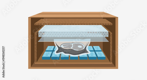 An open cardboard box contains a vacuum-sealed meat package on ice packs.